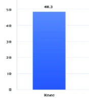 J Adv Immunopharmacol
